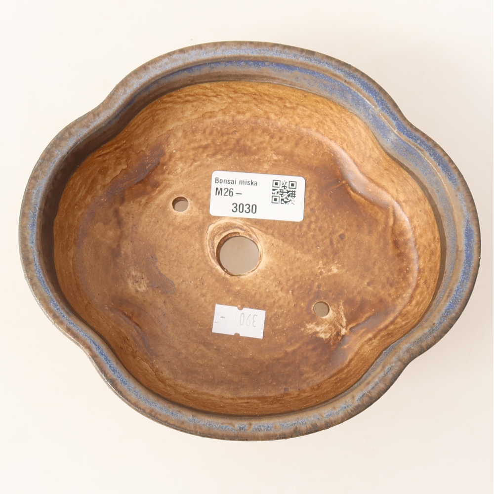 Ciotola bonsai in ceramica 17 x 15,5 x 5,5 cm, colore blu