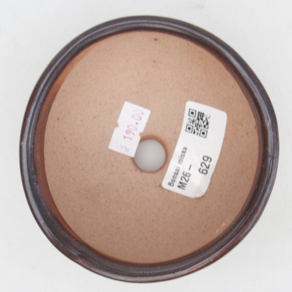 Ciotola per bonsai in ceramica 125 x 10 x 3 cm, marrone