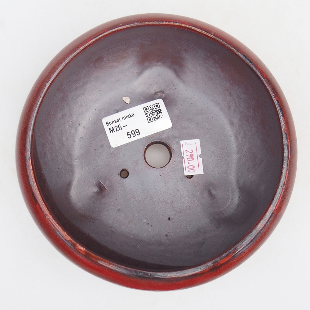 Ciotola per bonsai in ceramica 14 x 14 x 6,5 cm, colore rosso