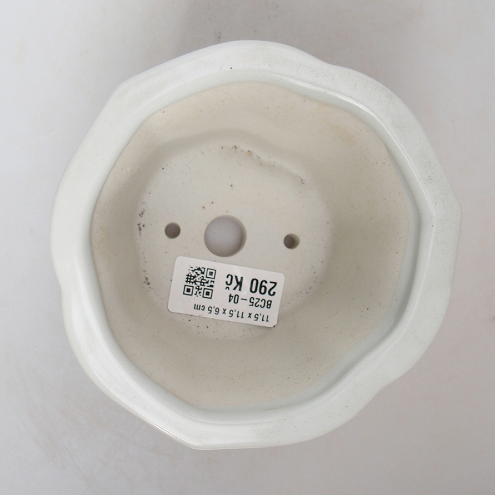 Ciotola per bonsai in ceramica 11,5 x 11,5 x 6 cm, bianca