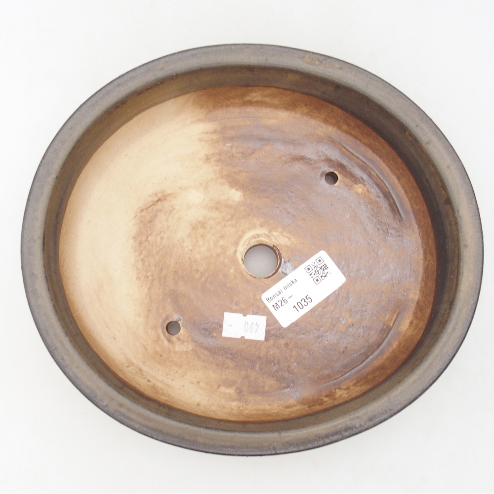 Ciotola per bonsai in ceramica 21 x 19 x 8 cm, marrone