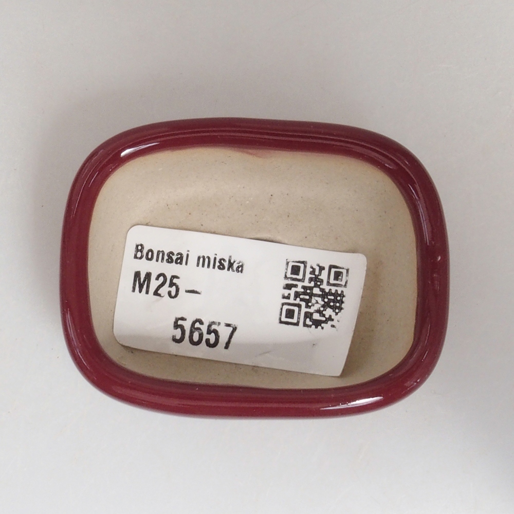 Ciotola per mini bonsai 5,5 x 4,5 x 2 cm, bordeaux