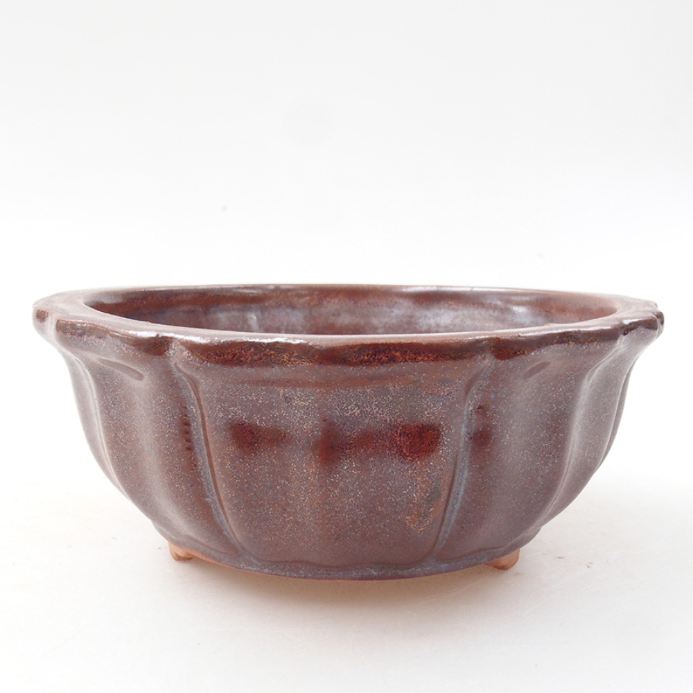 Ciotola per bonsai in ceramica 11 x 11 x 5 cm, marrone