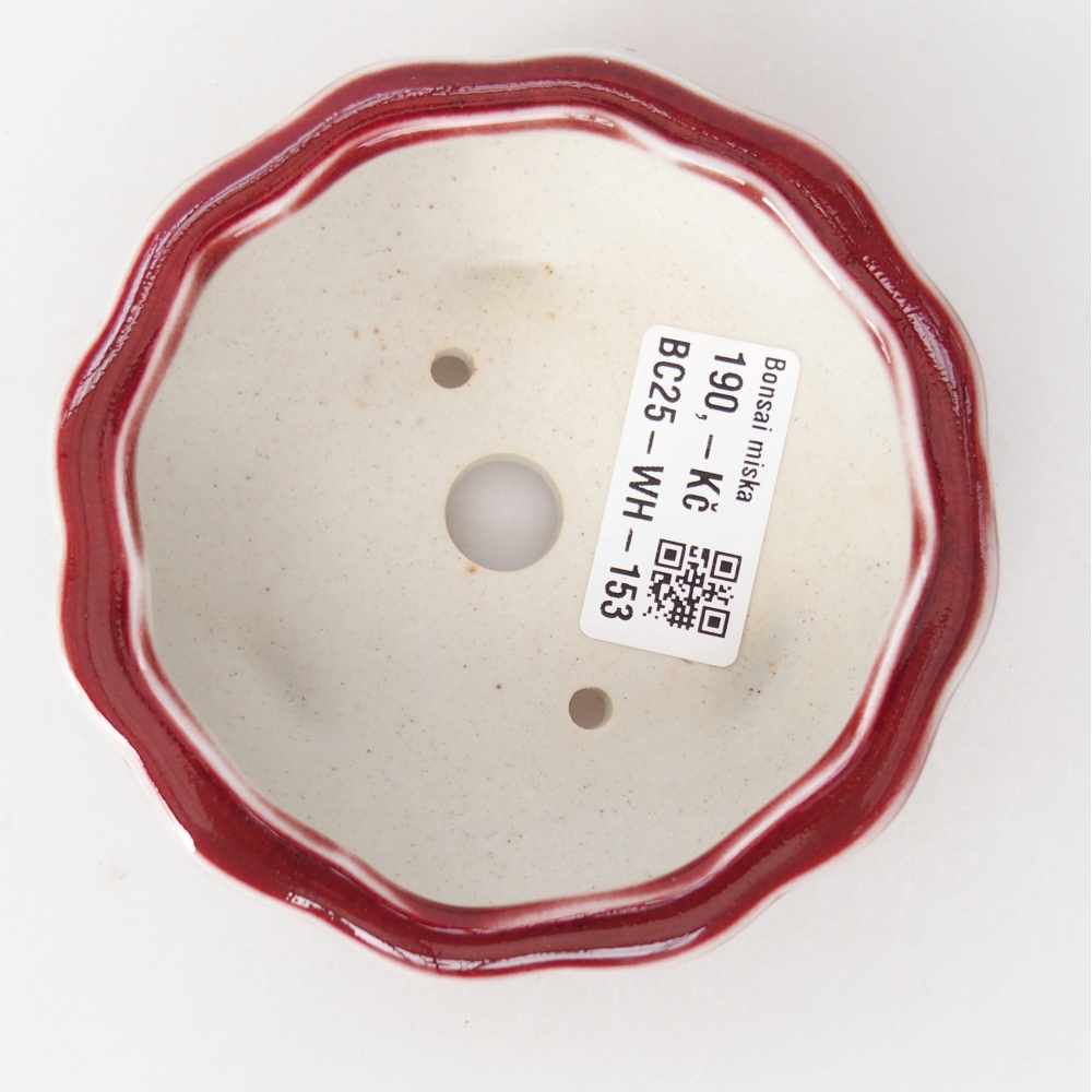 Ciotola per bonsai in ceramica 10 x 10 x 4 cm, colore rosso
