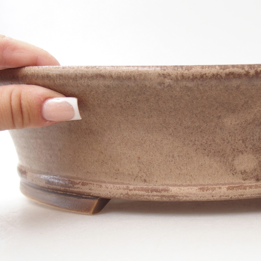 Ciotola bonsai in ceramica 32 x 29 x 7,5 cm, colore beige