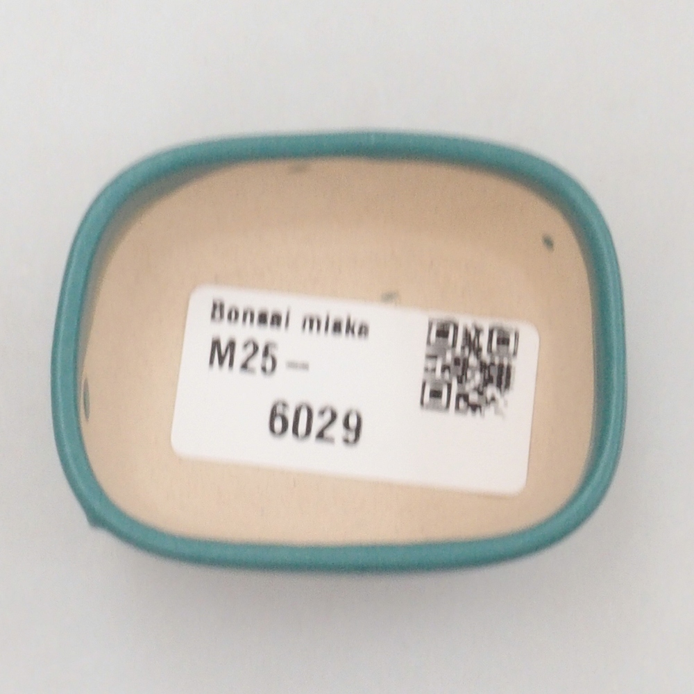 Ciotola bonsai in ceramica 6,5 x 5,5 x 4 cm, colore blu
