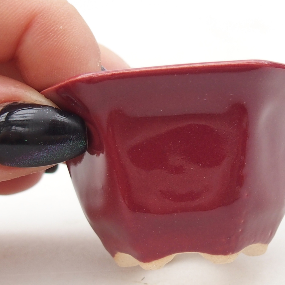 Mini bonsai 5,5 x 5 x 3 cm, bordeaux