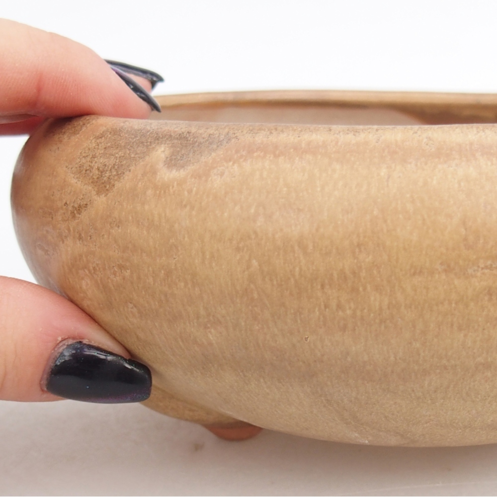 Ciotola per bonsai in ceramica 15 x 15 x 7 cm, colore beige