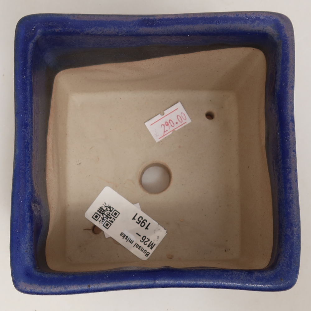 Vaso da bonsai in ceramica 11 x 11 x 8,5 cm, colore blu
