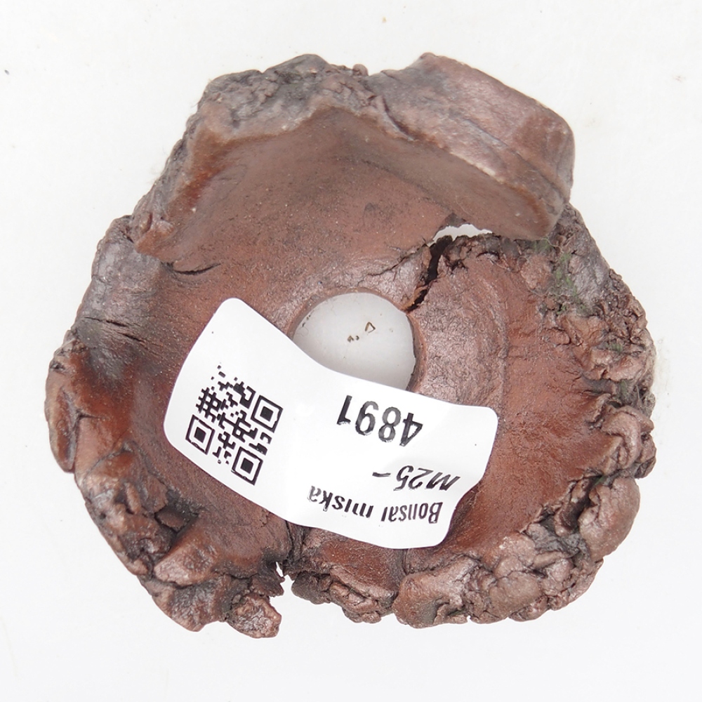 Conchiglia in ceramica 6 x 6 x 4 cm , colore marrone