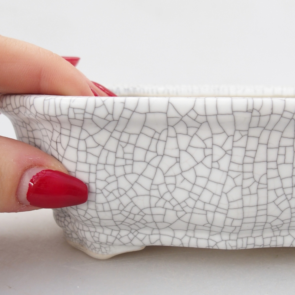 Ciotola 26 x 21 x 6,5 cm blu-verde