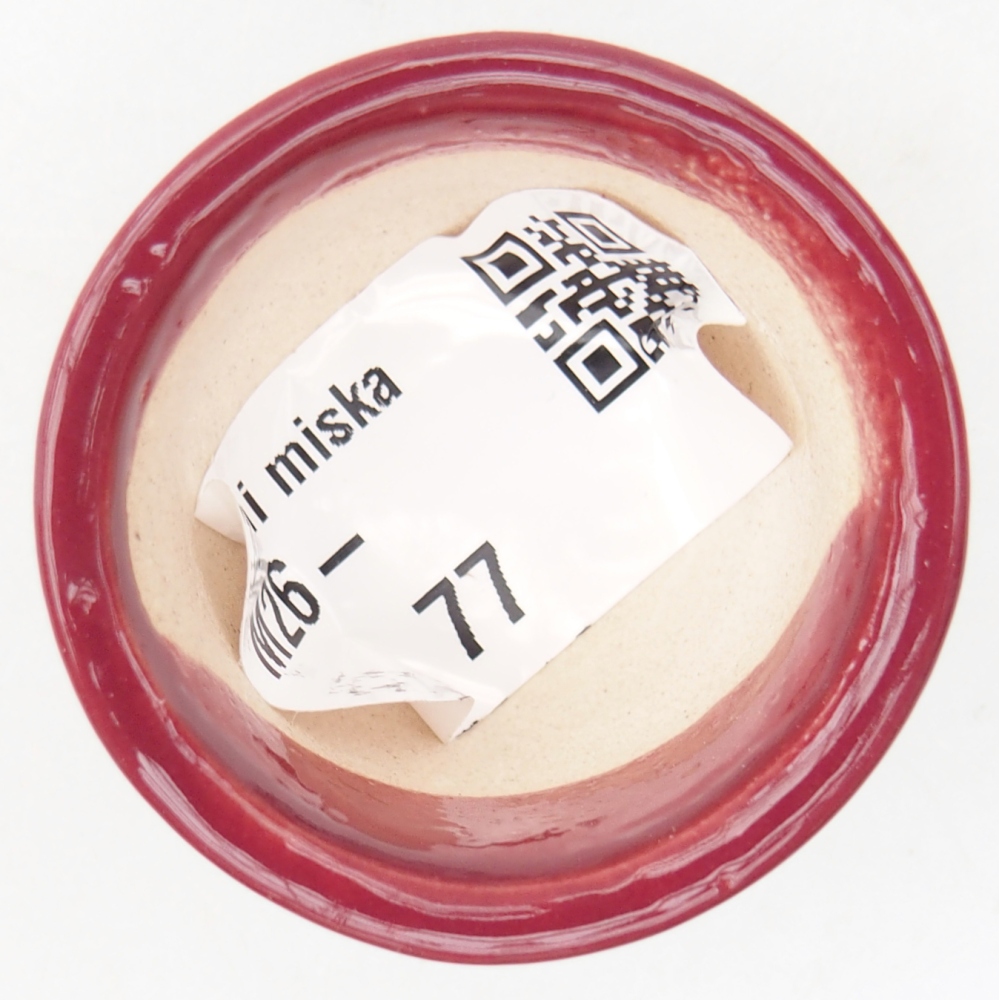 Ciotola per mini bonsai 4 x 4 x 2 cm, bordeaux