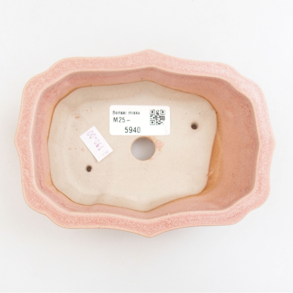 Ciotola bonsai in ceramica 22 x 17 x 5 cm, verde