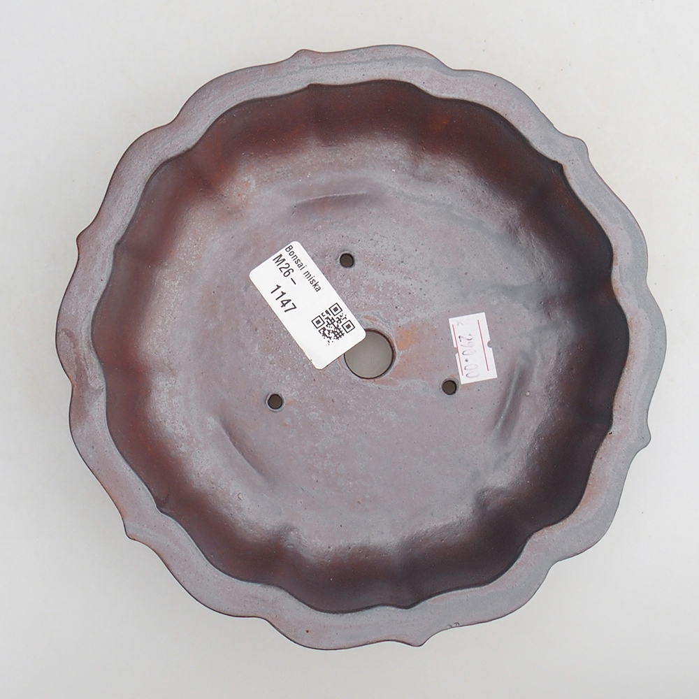 Ciotola bonsai in ceramica 18 x 18 x 4,5 cm, colore metallo