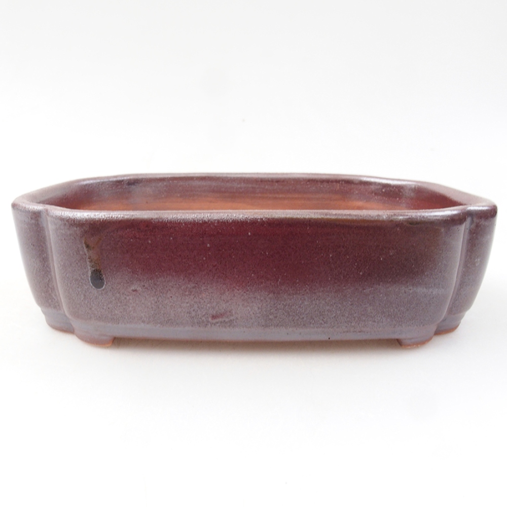 Ciotola per bonsai in ceramica 15 x 11,5 x 4,5 cm, marrone