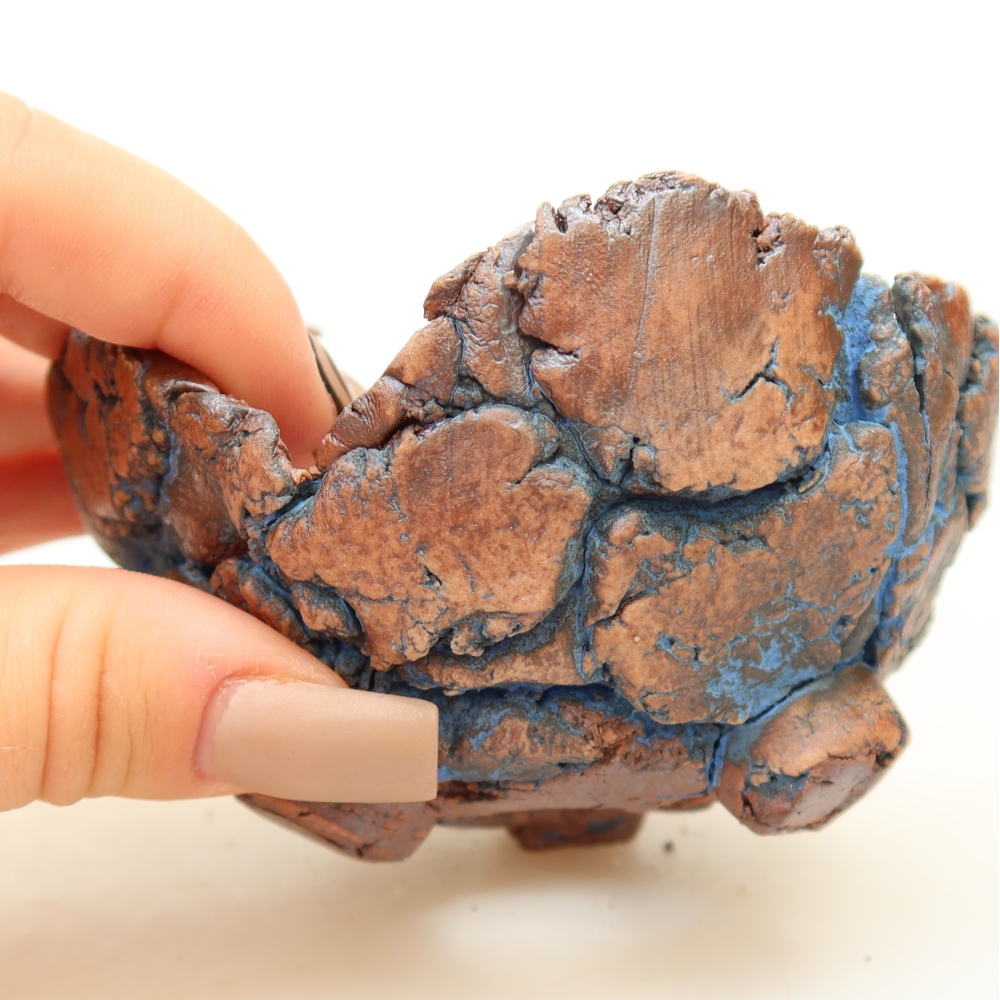 Guscio in ceramica 9 x 8,5 x 5 cm, colore blu