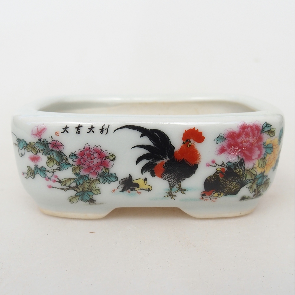 Mini bonsai 8 x 6 x 3 cm, bianco