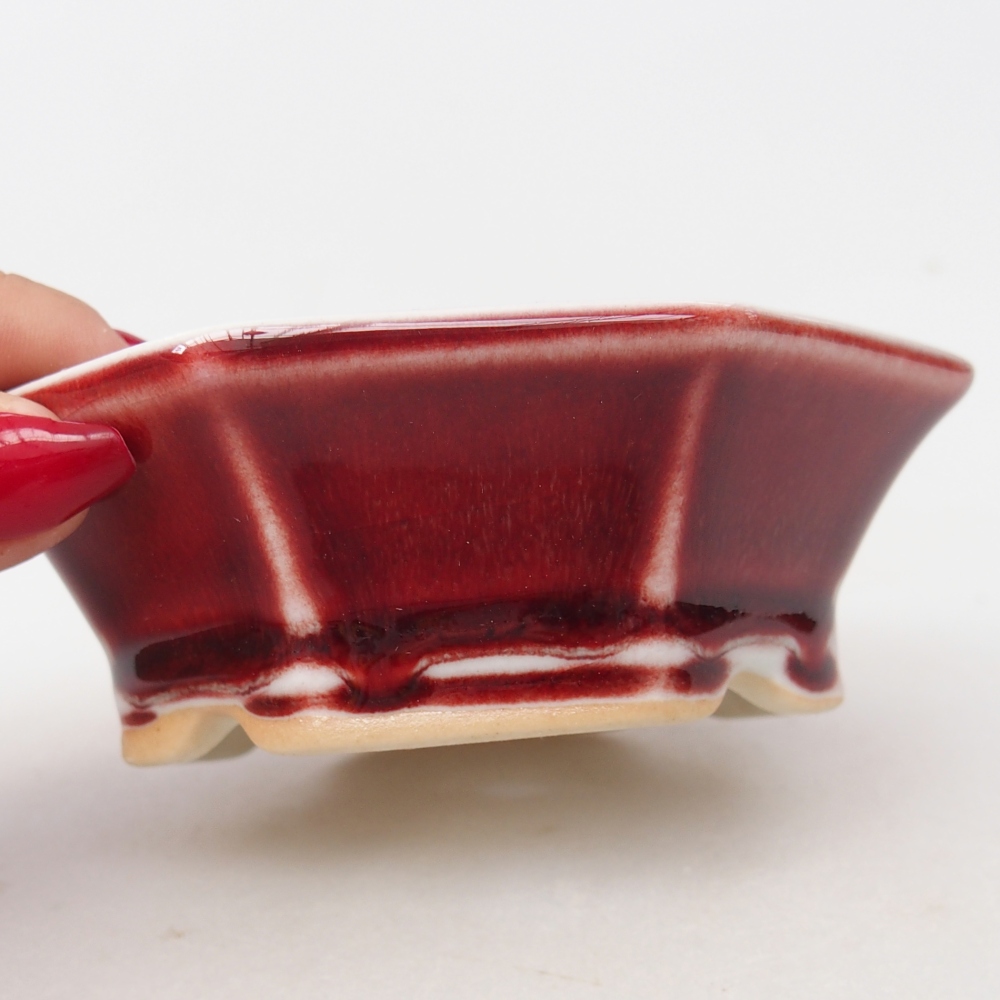 Mini bonsai 11 x 10 x 3,5 cm, colore rosso