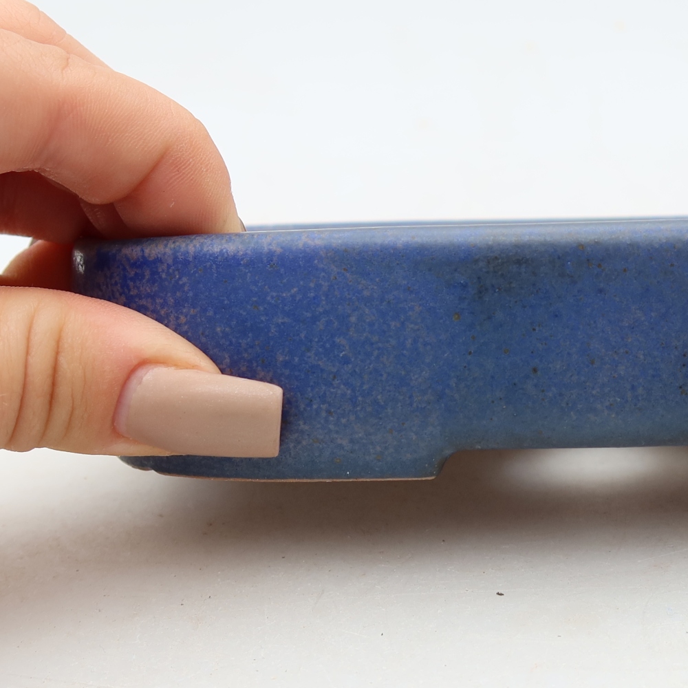 Ciotola bonsai in ceramica 16 x 11 x 3,5 cm, colore blu