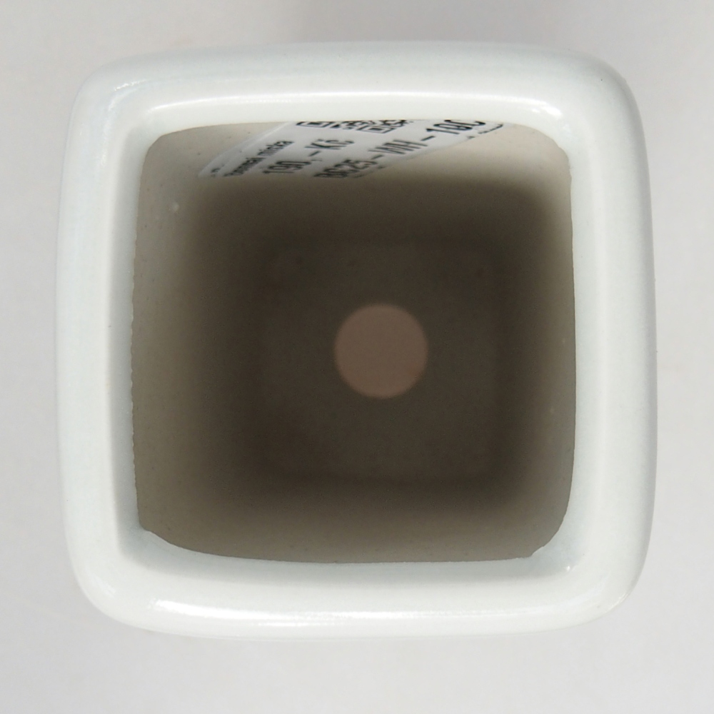 Ciotola per bonsai in ceramica 5,5 x 5,5 x 12 cm, colore bianco