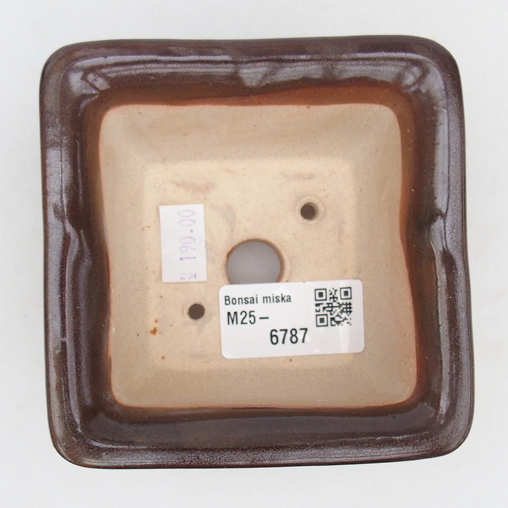 Ciotola per bonsai in ceramica 10 x 10 x 6 cm, bordeaux