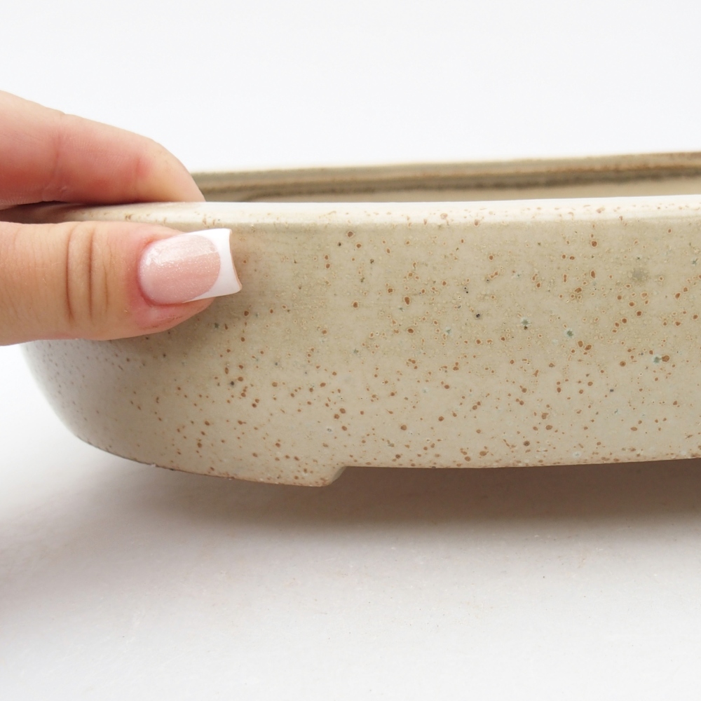 Ciotola bonsai in ceramica 27 x 21 x 5,5 cm, colore beige