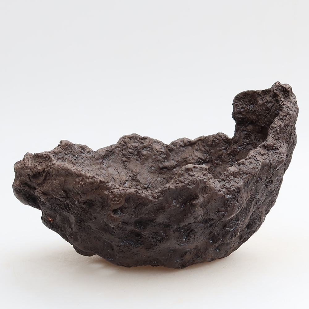 Conchiglia in ceramica 20 x 16 x 13 cm, colore marrone