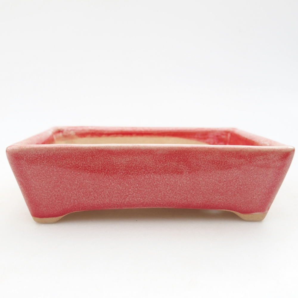 Ciotola per bonsai in ceramica 11,5 x 9 x 3,5 cm, colore rosso
