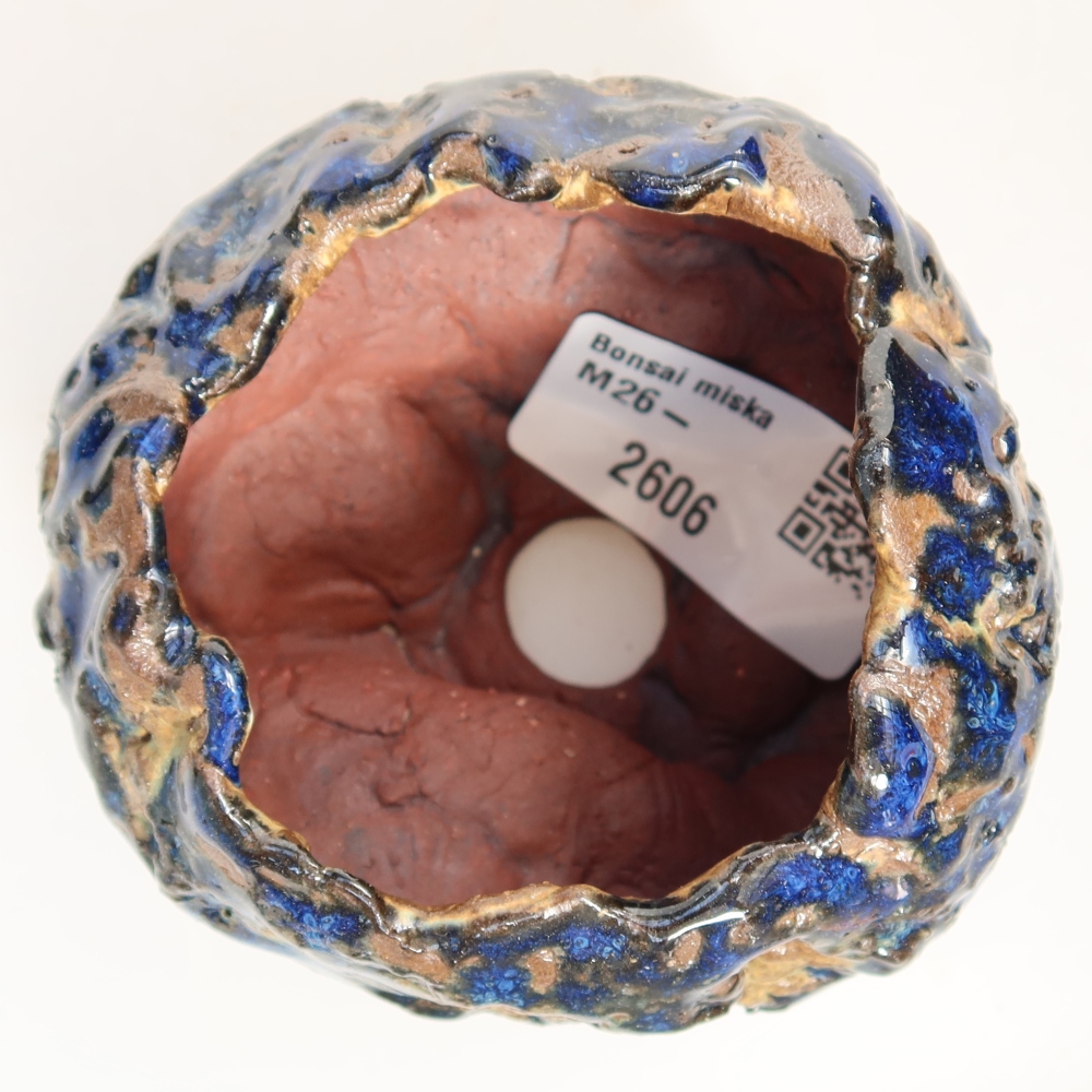 Guscio in ceramica  7,5 x 7 x 5,5 cm, colore blu-marrone