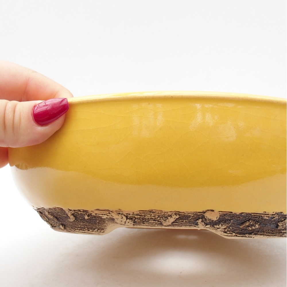 Ciotola per bonsai in ceramica 20,5 x 20,5 x 6 cm, giallo