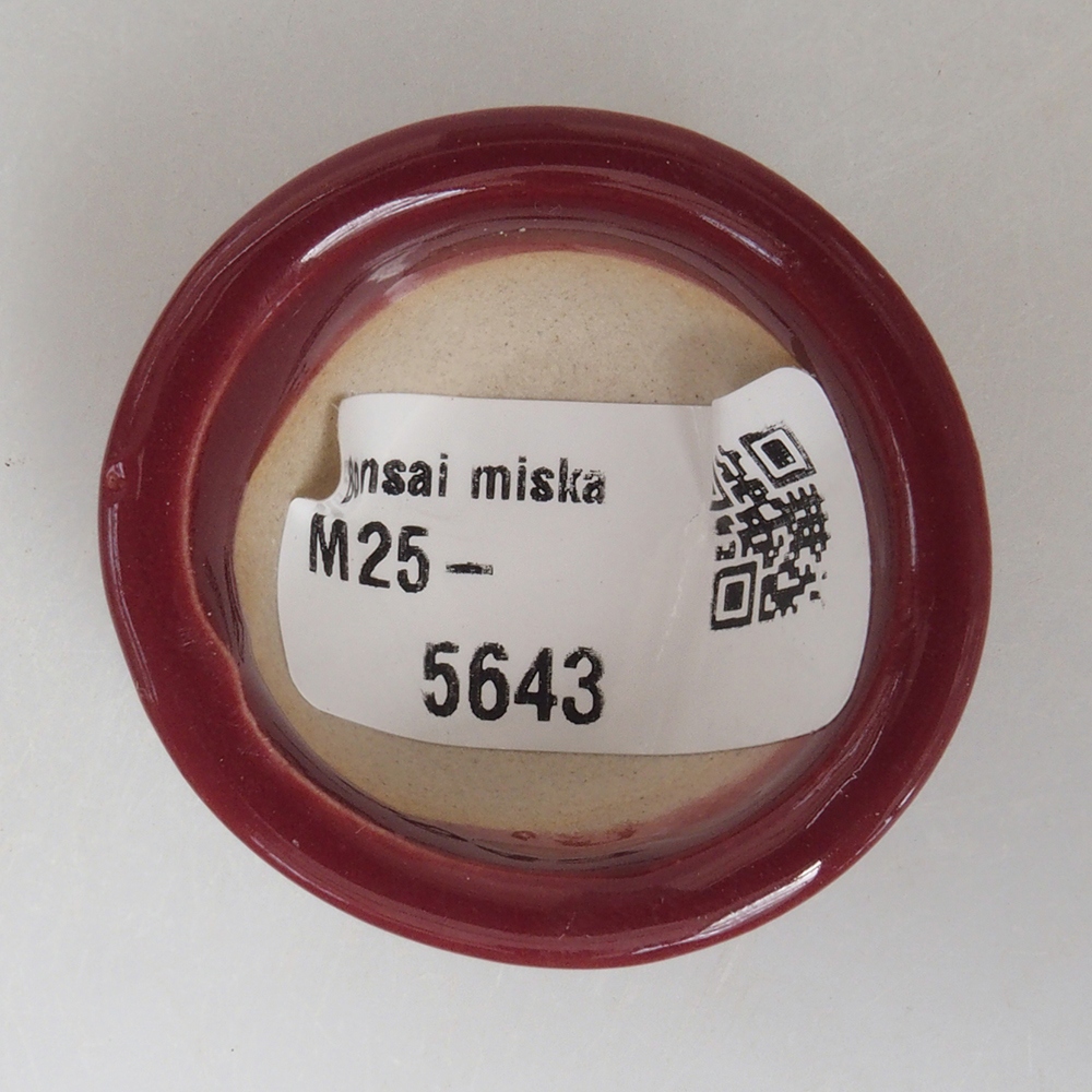 Ciotola per mini bonsai 4 x 4 x 2 cm, bordeaux