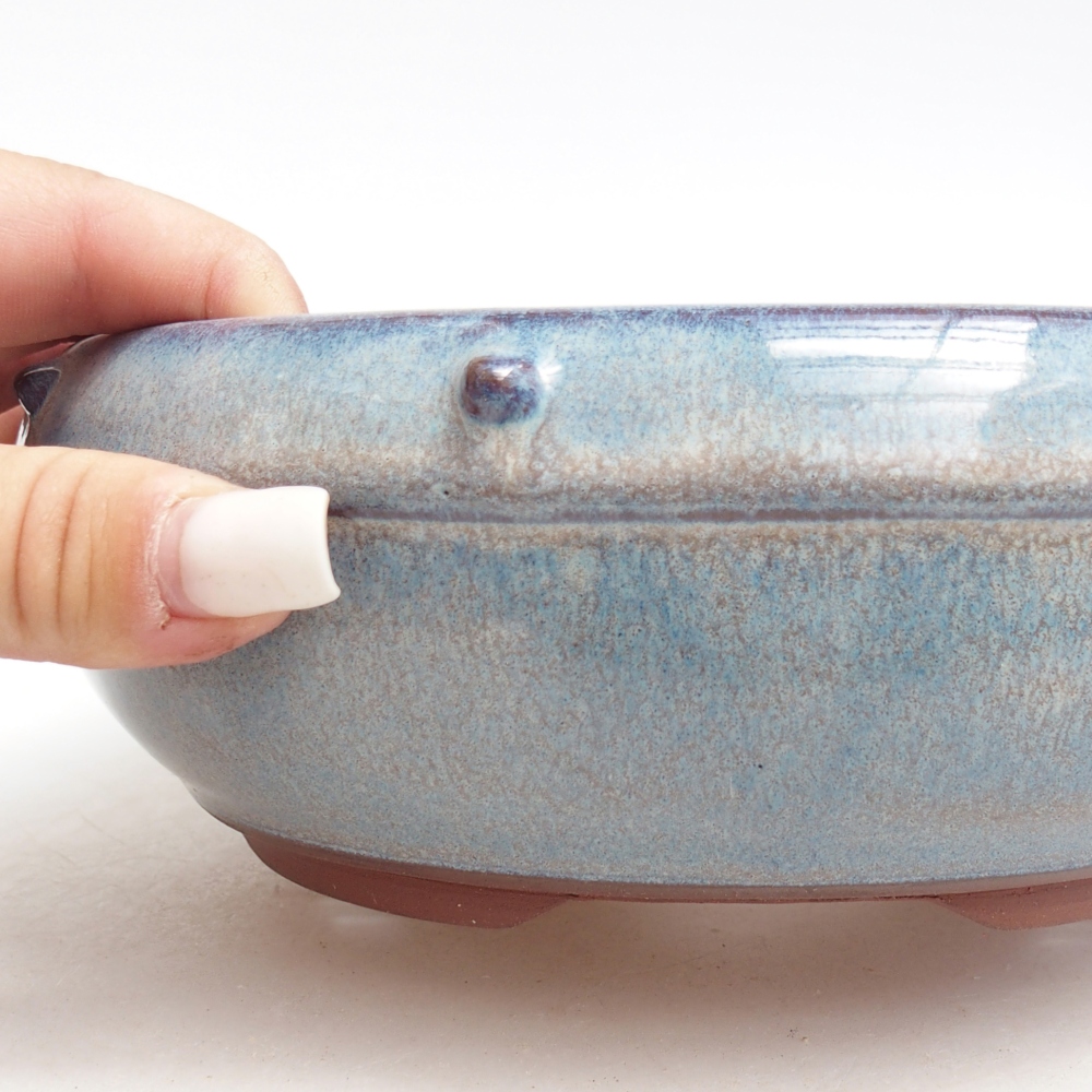 Ciotola bonsai in ceramica 18,5 x 18,5 x 6,5 cm, colore blu