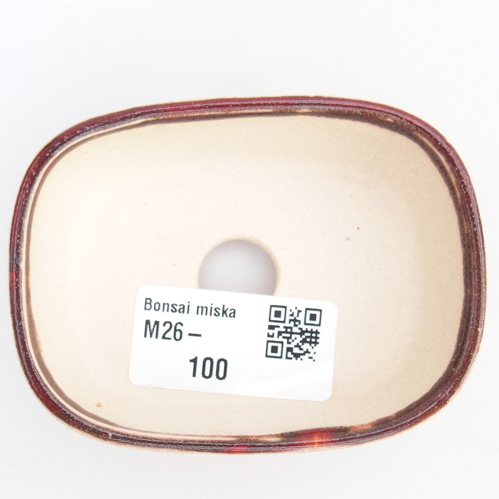 Mini bonsai 6 x 6 x 2,5 cm, colore rosso