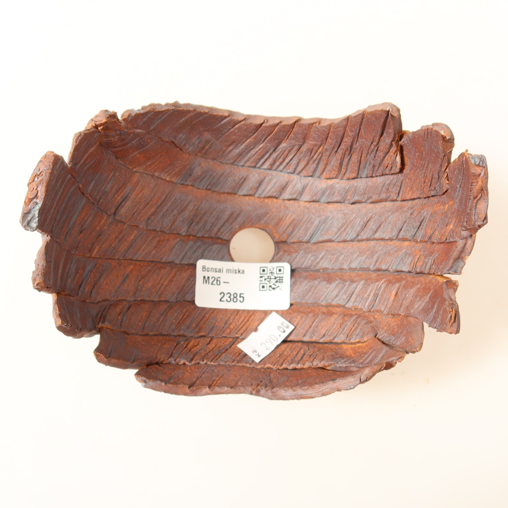 Guscio in ceramica  14,5 x 11 x 11 cm, colore marrone