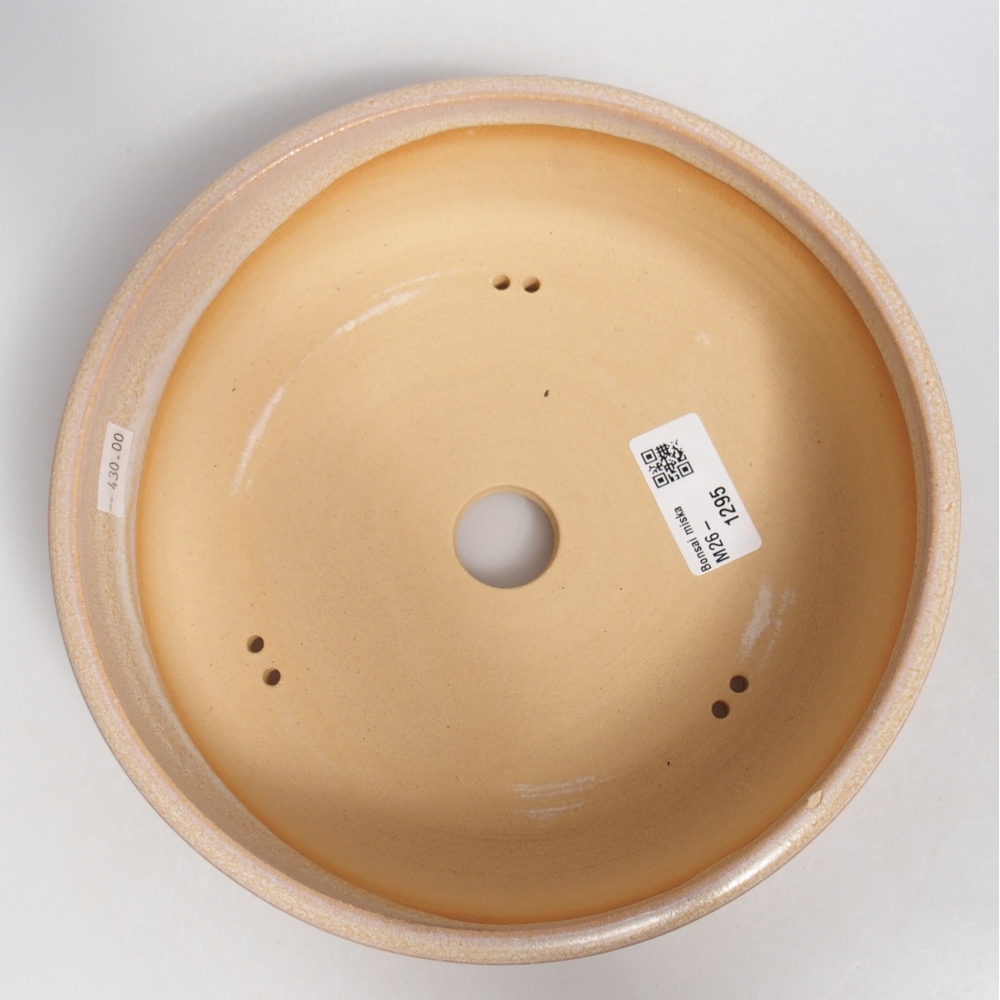 Ciotola per bonsai in ceramica 21 x 21 x 6 cm, colore beige