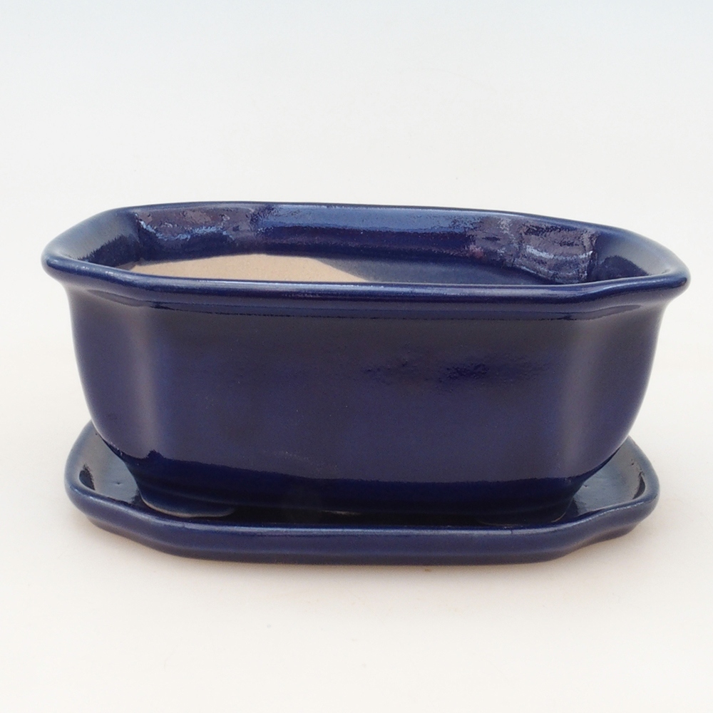 Ciotola bonsai + piattino H32 - blu