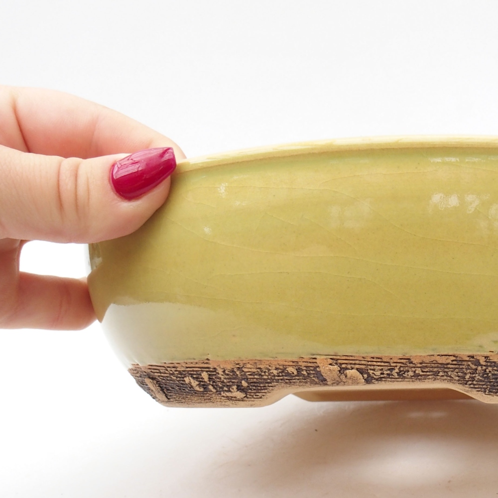 Ciotola per bonsai in ceramica 20 x 20 x 5,5 cm, verde