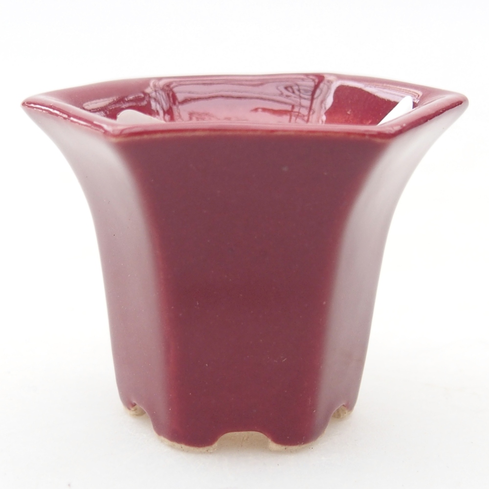 Mini bonsai 4 x 4 x 3,5 cm, bordeaux