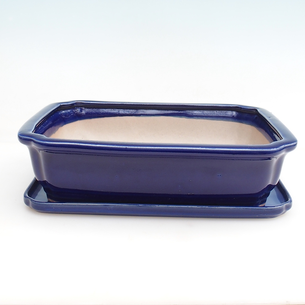 Ciotola bonsai + piattino H07 - 30 x 20,5 x 8 cm.