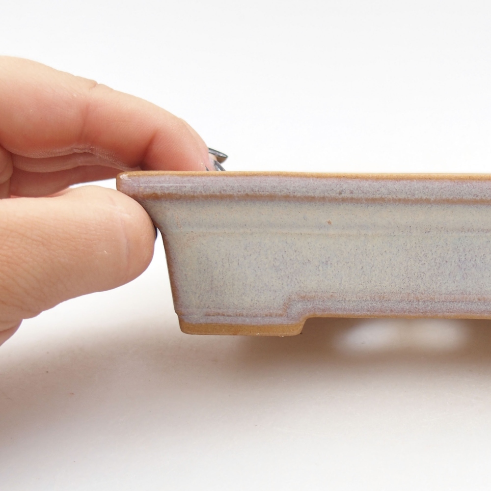 Ciotola bonsai in ceramica 22 x 17 x 5 cm, verde