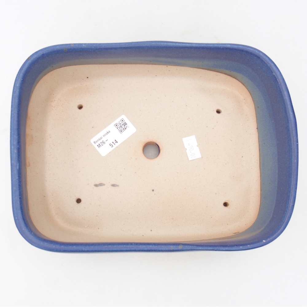 Ciotola bonsai in ceramica 23 x 17 x 7,5 cm, colore blu