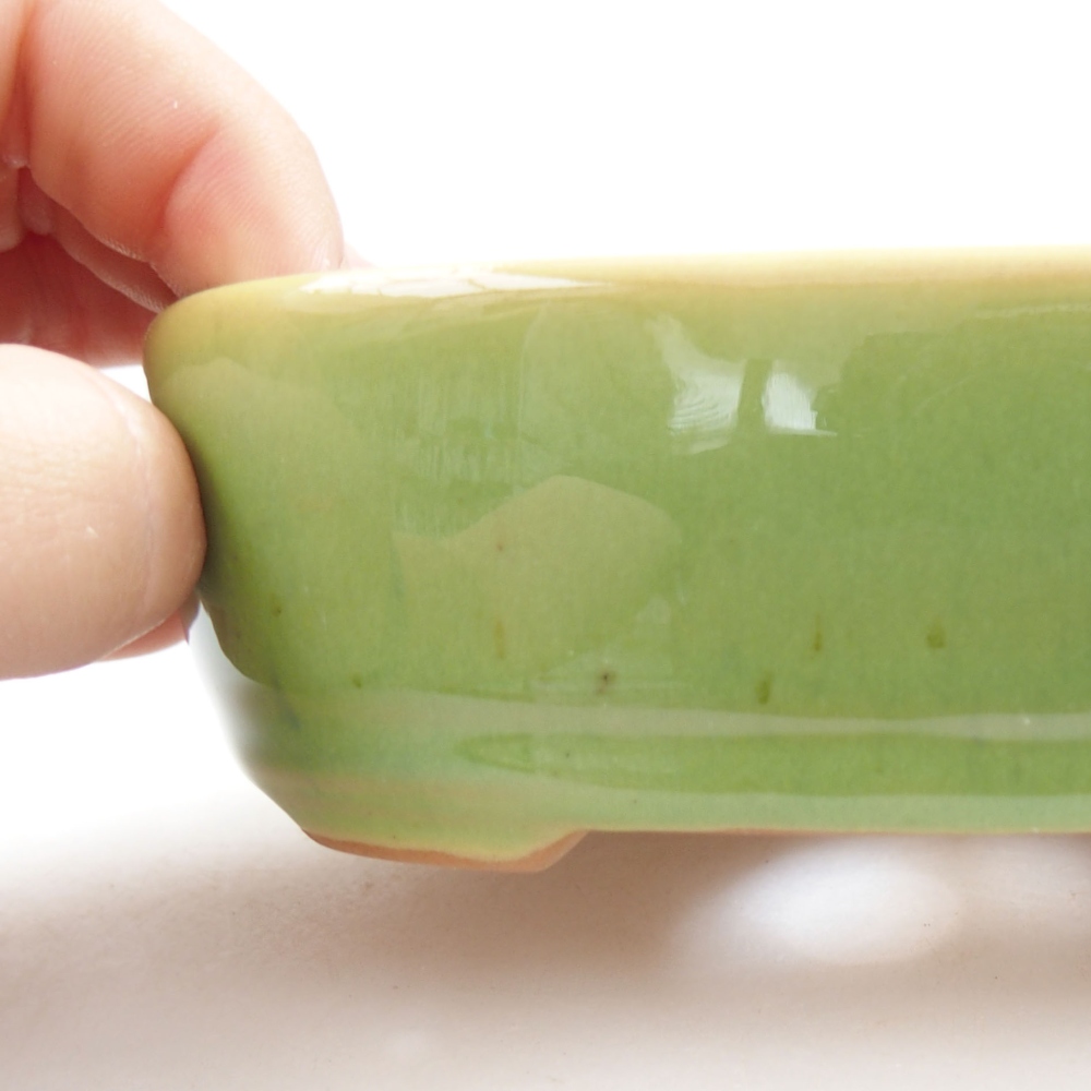 Ciotola bonsai in ceramica 22 x 17 x 5 cm, verde