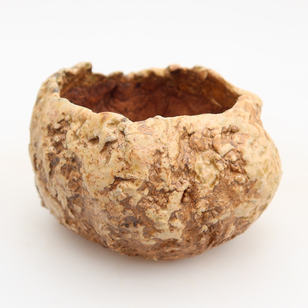 Guscio in ceramica  5,5 x 5,5 x 5 cm , colore marrone
