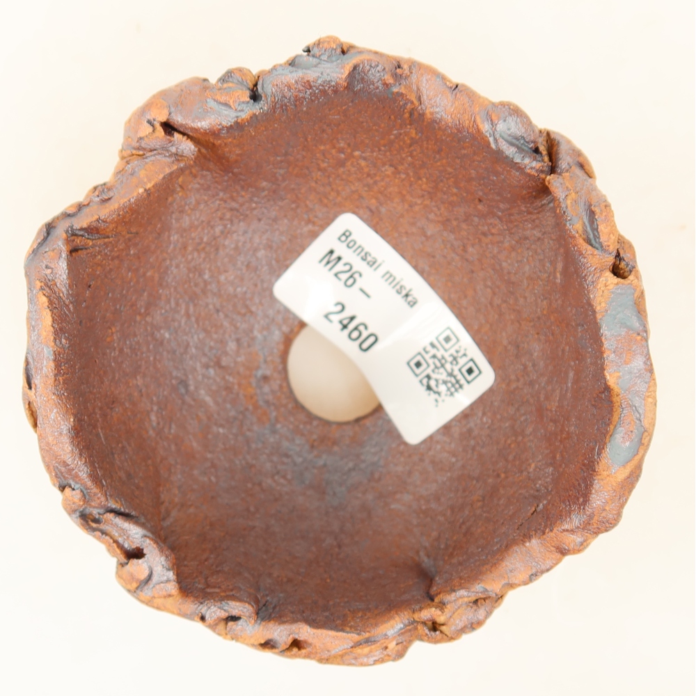 Conchiglia in ceramica 9 x 8,5 x 6 cm , colore marrone