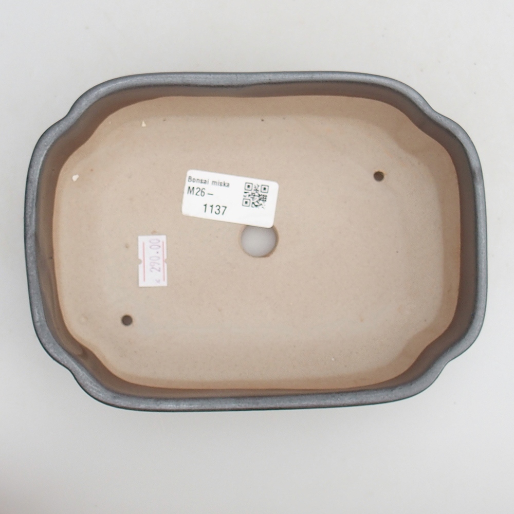 Ciotola bonsai in ceramica 18 x 13 x 5 cm, colore metallo