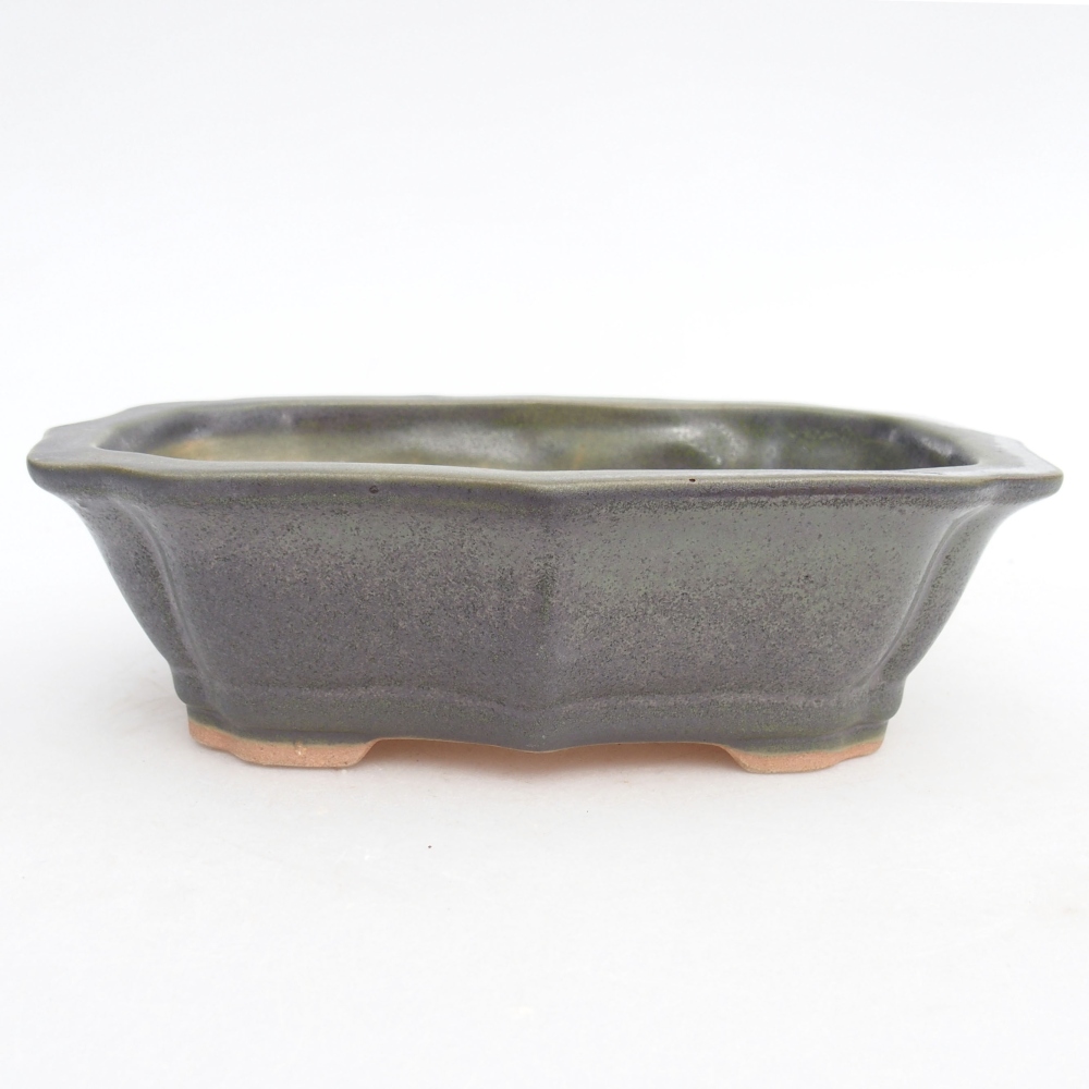 Ciotola per bonsai in ceramica 15,5 x 11,5 x 4,5 cm, verde