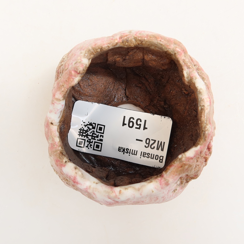 Guscio in ceramica  4,5 x 4,5 x 5 cm, colore rosa