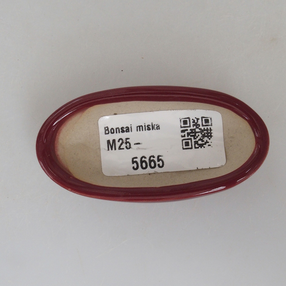 Ciotola per mini bonsai 7 x 3 x 2 cm, bordeaux