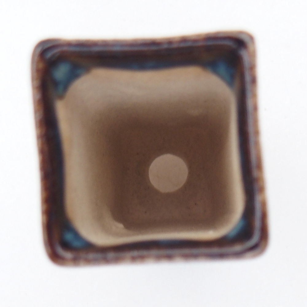 Mini bonsai 2 x 2 x 5 cm, blu