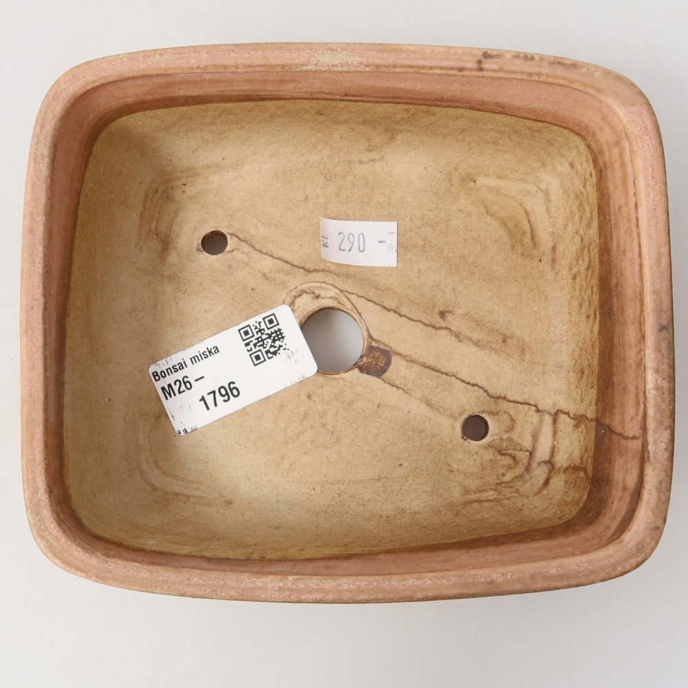 Vaso da bonsai in ceramica 15 x 13 x 4,5 cm, colore rosa